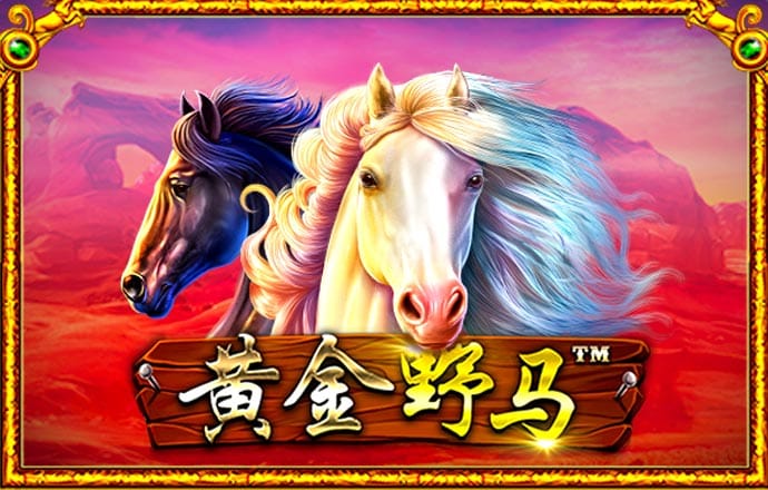 亚盈官网下载